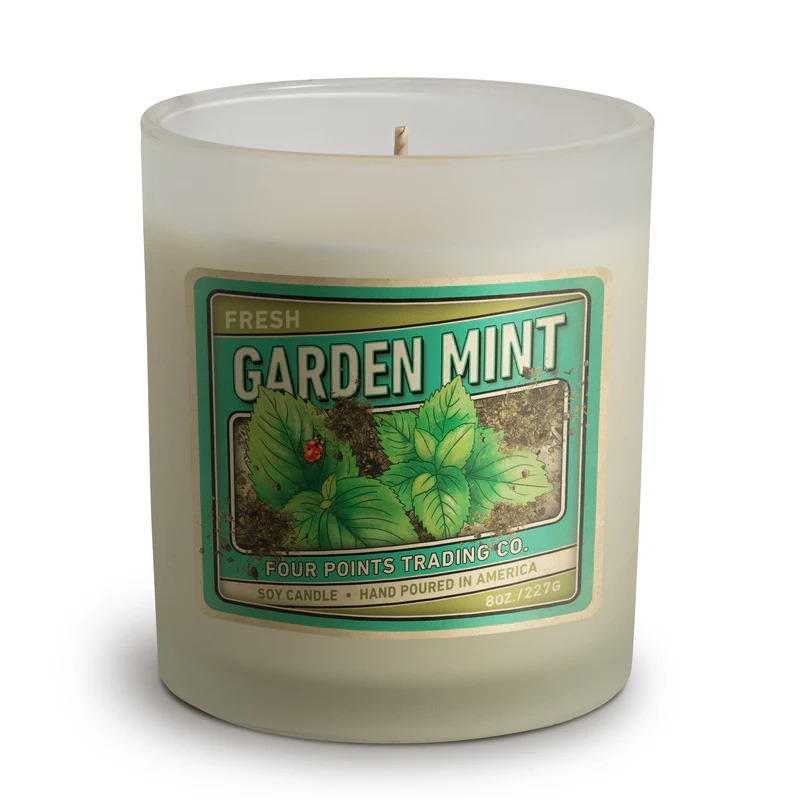 Fabiénne Ambiance 10ml Garden Mint Car Diffuser